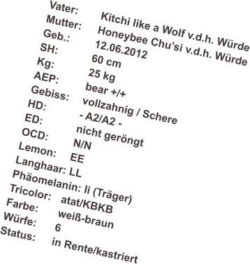 Vater:	Kitchi like a Wolf v.d.h. Wrde Mutter: 	Honeybee Chusi v.d.h. Wrde Geb.: 	12.06.2012 SH:		60 cm Kg:		25 kg AEP:		bear +/+ Gebiss:	vollzahnig / Schere HD:		- A2/A2 - ED:		nicht gerngt OCD:	N/N Lemon:	EE Langhaar: LL Phomelanin: Ii (Trger) Tricolor: 	atat/KBKB Farbe:	wei-braun  Wrfe:	6 Status:	in Rente/kastriert