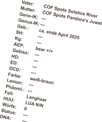 Vater:	COF Spots Solstice River Mutter: 	COF Spots Pandoras Juwel Geno-IK:	--- Genus-IK:	--- Geb.: 	ca. ende April 2025 SH:		--- Kg:		--- AEP:		bear +/+ Gebiss:	--- HD:		--- ED:		--- OCD:	--- Farbe:	wei-braun  Lemon:	--- Phoml.:	--- Fell:		Langhaar HUU:	LUA N/N Wrfe:	0 Status:	--- DNA:	---