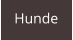 Hunde